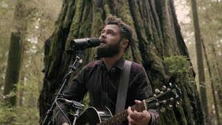 Passenger  Survivors Acoustic Live from Jedediah Smith Redwood State Park OR [upl. by Edee664]