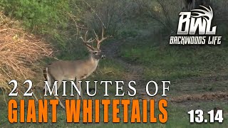 ULTIMATE Deer Hunting Compilation [upl. by Chappy]