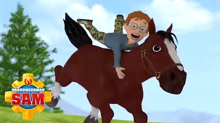 Brandweerman Sam  Wilde Paarden Rennen  Nieuwe Afleveringen  Kinderfilms [upl. by Lebna]