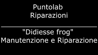 Frog Didiesse  Manutenzione quotcaffè Borbonequot [upl. by Ellehcsor]