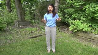 Arm Swing Exercise [upl. by Karlyn]