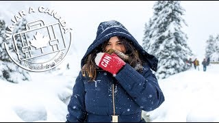 🍁 ❄️ ¿Cómo sobrevivir al frío de Canadá [upl. by Teews]