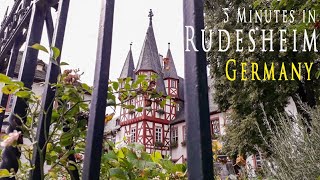 5 Minutes in Rudesheim Germany [upl. by Rosel586]