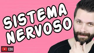 SISTEMA NERVOSO  FISIOLOGIA  Aula  Biologia com Samuel Cunha [upl. by Atteval]