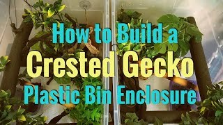 How to Build a Crested Gecko Plastic Bin Enclosure [upl. by Arbua]