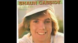 SHAUN CASSIDY Da Doo Ron Ron [upl. by Selegna]