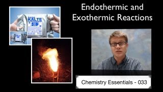 Endothermic and Exothermic Reactions [upl. by Eadahs]