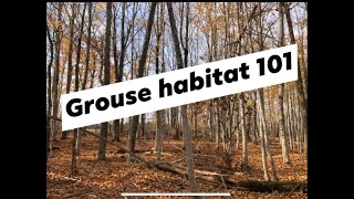 Improving Ruffed Grouse partridge Habitat [upl. by Ynor]