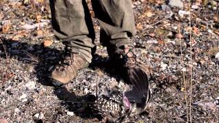 How to clean a spruce grouse in 10 seconds [upl. by Welles]