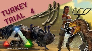 How to GET WISHBONES and how to USE them ARK Turkey Trial 4 Guide [upl. by Ydnic]