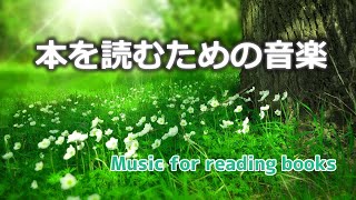 【読書の時に聞く音楽】作業用BGM│本を読むのに最適│森林浴の癒し [upl. by Sholley]