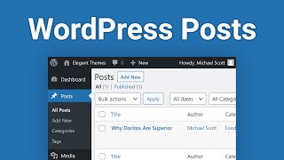 WordPress Posts How to Create and Manage Them [upl. by Odlopoel]