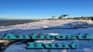 Anticosti Hunt [upl. by Madge]