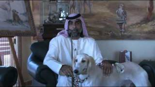 The Arabian Saluki Center [upl. by Cire315]