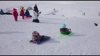 Snowy mountain toboggan snow play [upl. by Edi]