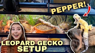 Setting Up A NEW Leopard Gecko Enclosure  Upgrade For Pepper [upl. by Hedges]