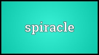 Spiracle Meaning [upl. by Nnahs]