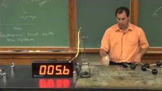 Endothermic amp Exothermic Reactions [upl. by Cazzie404]