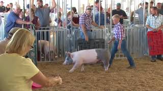 Lawrence Co Fair Ohio  4H amp FFA Market Hog Show [upl. by Stranger196]