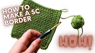 How To Single Crochet a Blanket Border  PERFECT FOR BEGINNERS [upl. by Morena439]