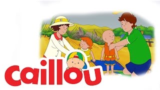 Caillou  Backyard Zoo S02E17  Cartoon for Kids [upl. by Anen932]