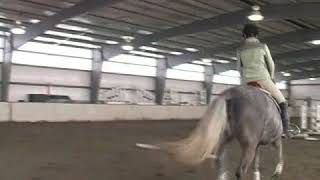 How to Gallop a Horse [upl. by Dyna]