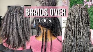 Braids Over Locs Tutorial  My first Time Attempting These [upl. by Zantos862]