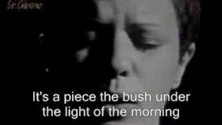 Elis Regina amp Tom Jobim Waters of March  English subtitles [upl. by Blackwell908]