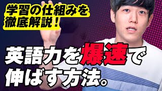 【誰も教えてくれない】英語力を爆速で向上させる方法を徹底解説｜英語学習の全体像 [upl. by Nwahsear]