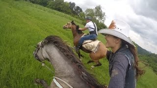 Epic horse galloping with GoPro by KristyM Ranch [upl. by Tallou]