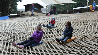 Tobogganing at Mendip dry ski slope family video [upl. by Rea458]