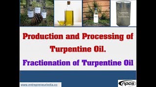 Production and Processing of Turpentine Oil  Fractionation of Turpentine Oil [upl. by Enoryt]