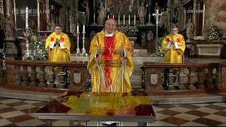 Gottesdienst der Osternacht aus dem Wiener Stephansdom 1142020 [upl. by Adnilahs]