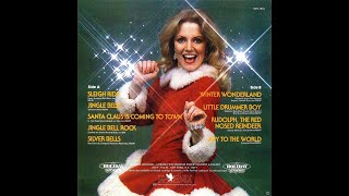 The Mistletoe Disco Band  Christmas Disco 1978 Non Stop Mix [upl. by Attenhoj]