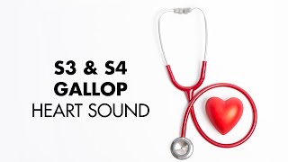 S3 and S4 Gallop  Heart Sounds  MEDZCOOL [upl. by Lubba30]