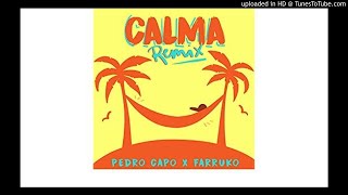 Calma Remix Official Video [upl. by Eleonore]