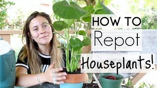 How To Repot Houseplants  Repotting Houseplants [upl. by Poppas]