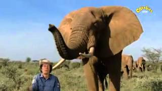 Andys Wild Adventures  Elephant Safari [upl. by Manning]