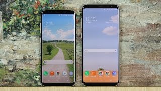 Samsung Galaxy S8 vs S8 Plus Which One Should You Buy amp Why [upl. by Nesral]