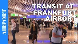 TRANSIT WALK AT FRANKFURT Airport FRA Terminal 1  Connection Flight Transfer Arriving amp Departing [upl. by Omari]