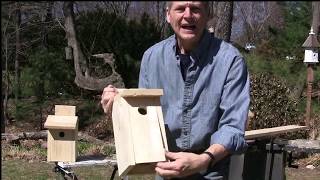 How to Build Blue Bird House [upl. by Htehpaj]