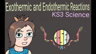 Science KS3  Endothermic and Exothermic Reactions [upl. by Breban550]